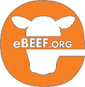 eBEEF logo