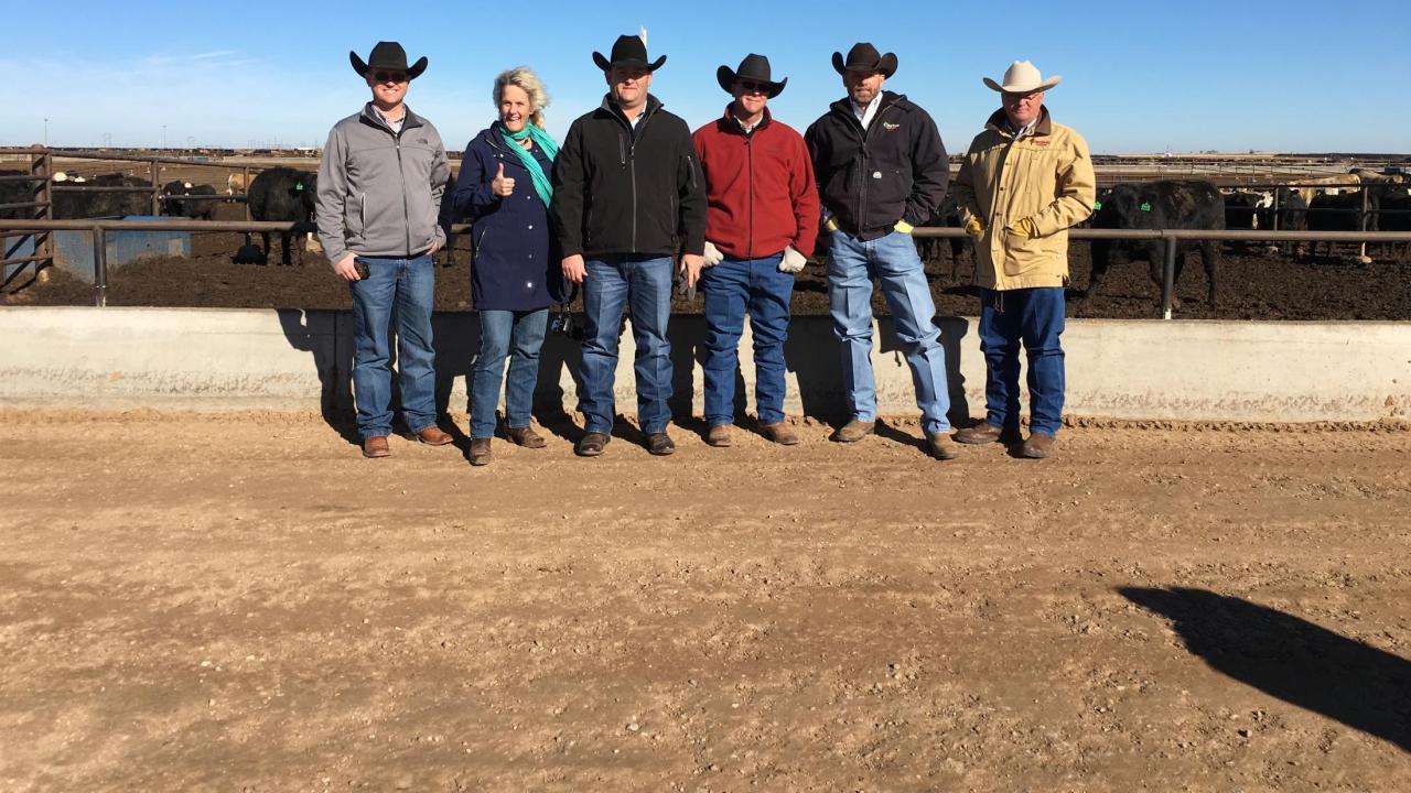 Dr. Van Eenennaam visiting a feedlot