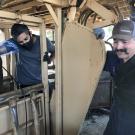 Drs. Bret McNabb and Alok Patel pregnancy check a cow