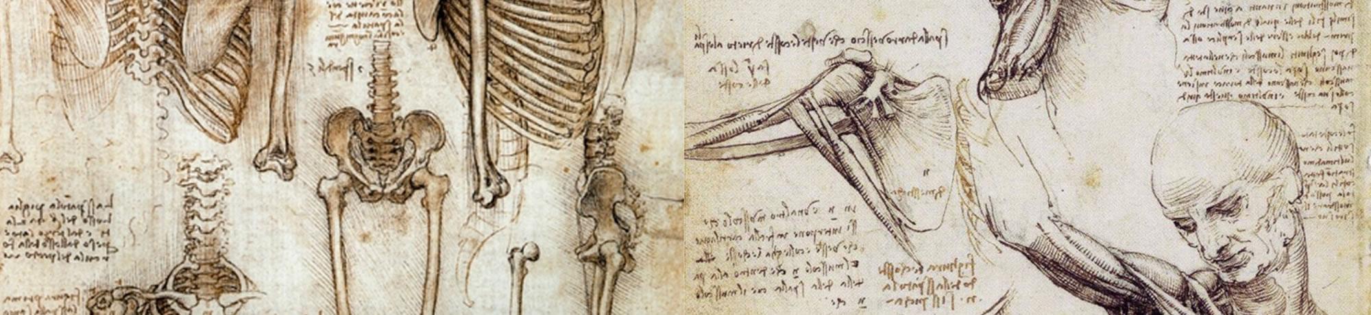 Da Vinci