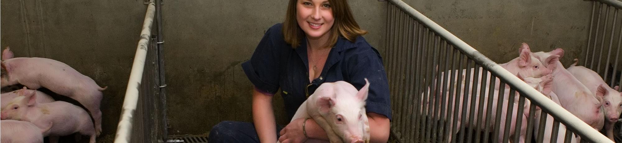 Swine Facility
