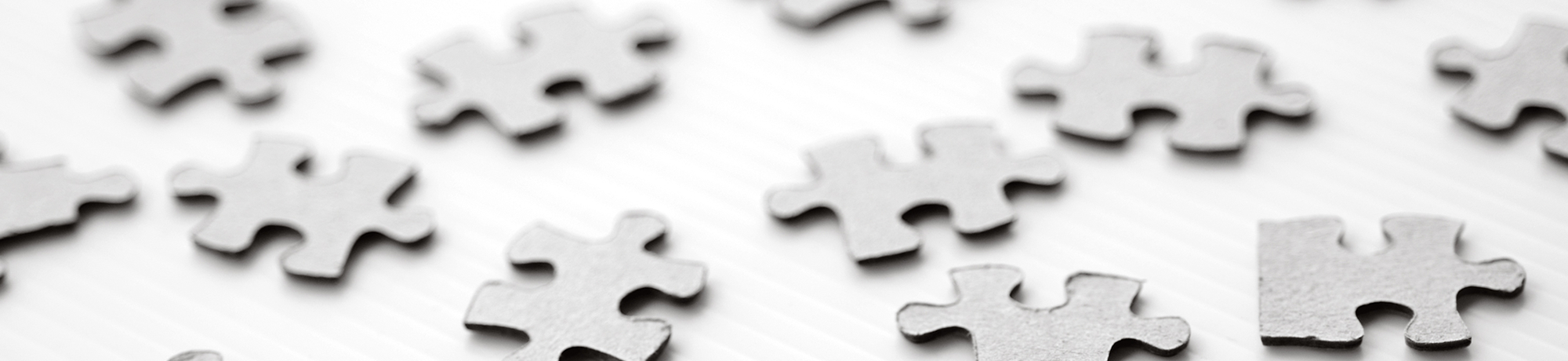 Puzzle Pieces